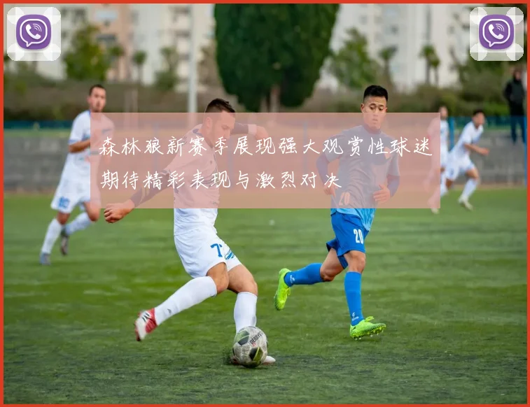 森林狼新赛季展现强大观赏性球迷期待精彩表现与激烈对决